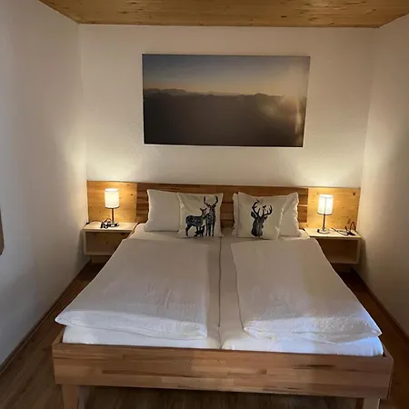 With Alpine Views *